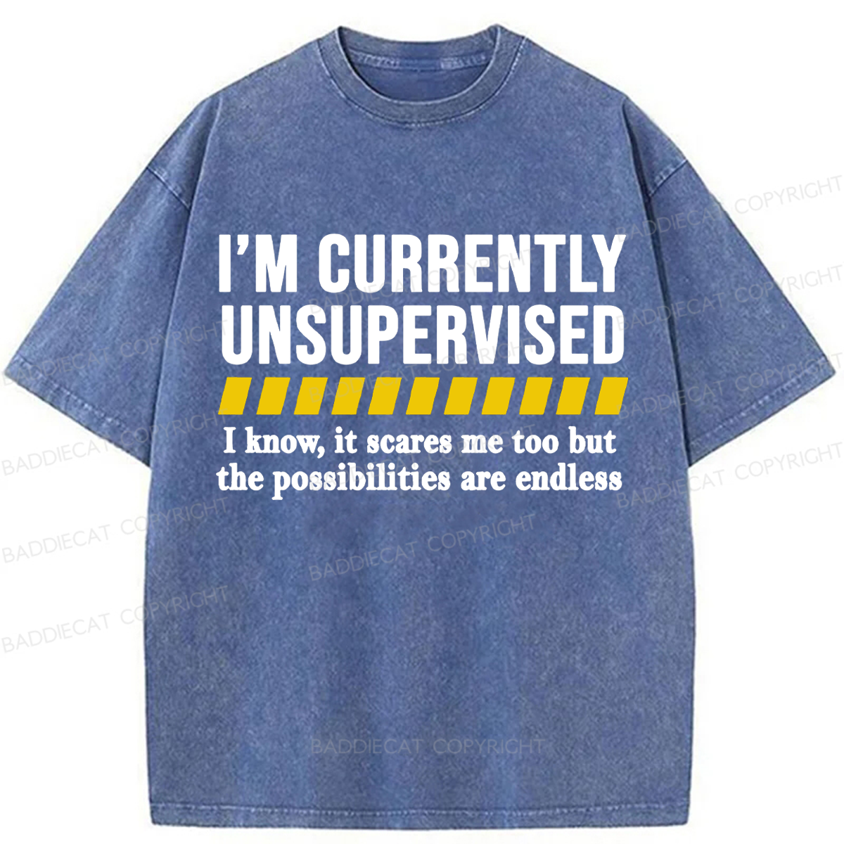 Baddiecat I'm Currently Unsupervised Washed T-shirt