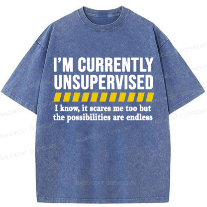 Baddiecat I'm Currently Unsupervised Washed T-shirt