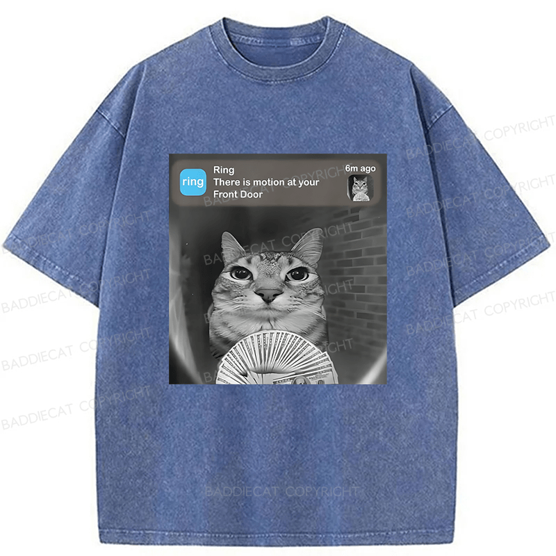 Baddiecat Cat Funny Meme Washed T-shirt