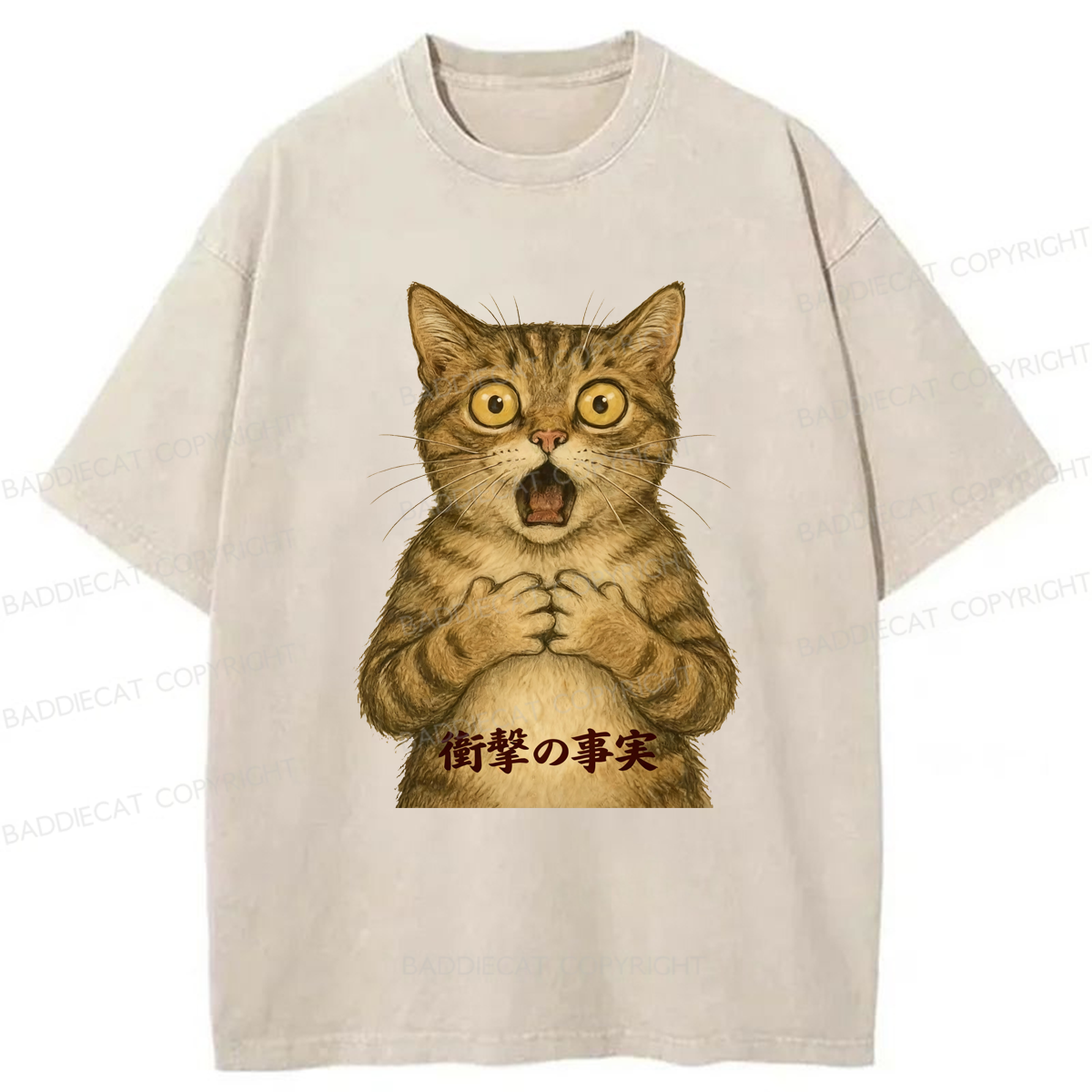 Baddiecat Oh My God Cat Washed T-shirt