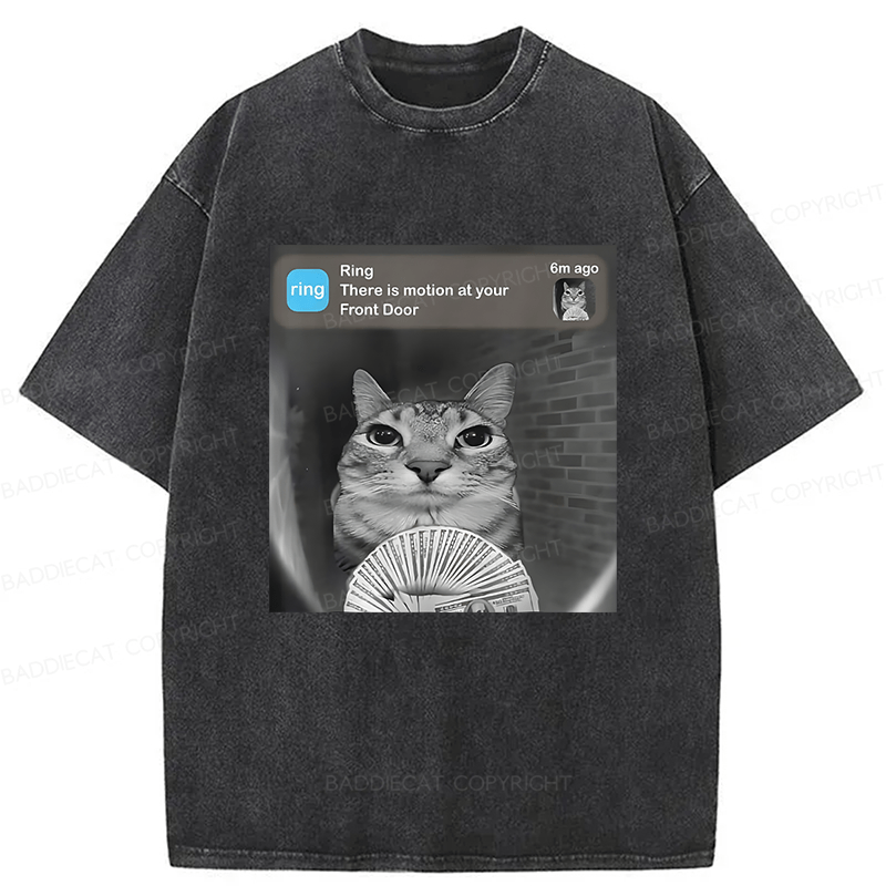 Baddiecat Cat Funny Meme Washed T-shirt