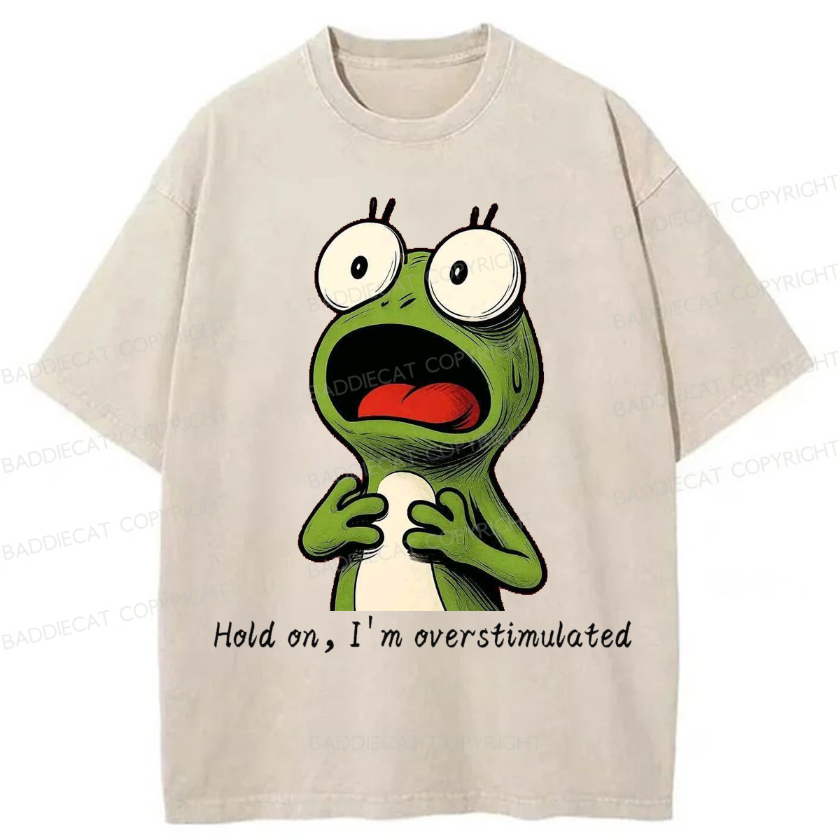 Baddiecat Hold On I'm Overstimulated Washed T-shirt