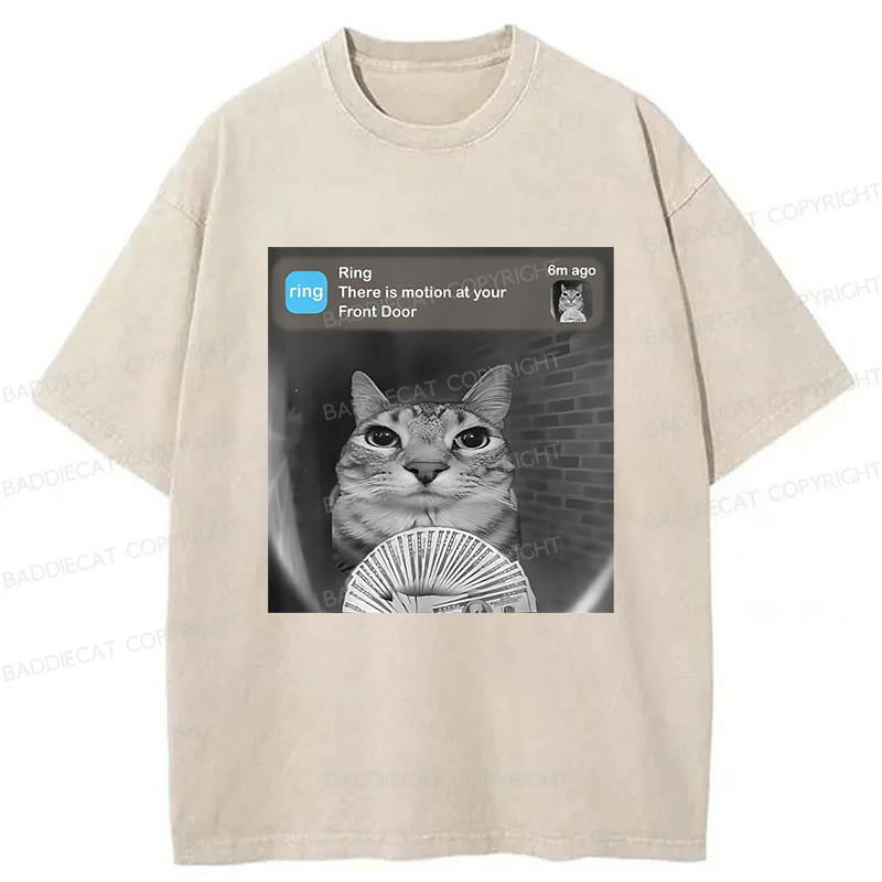 Baddiecat Cat Funny Meme Washed T-shirt