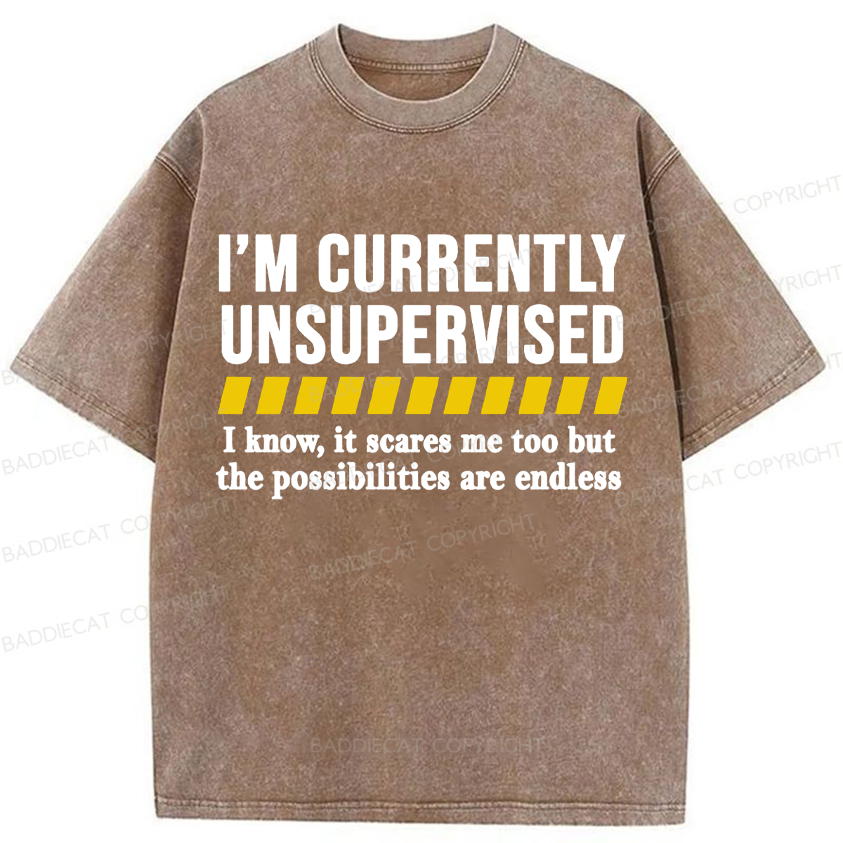 Baddiecat I'm Currently Unsupervised Washed T-shirt