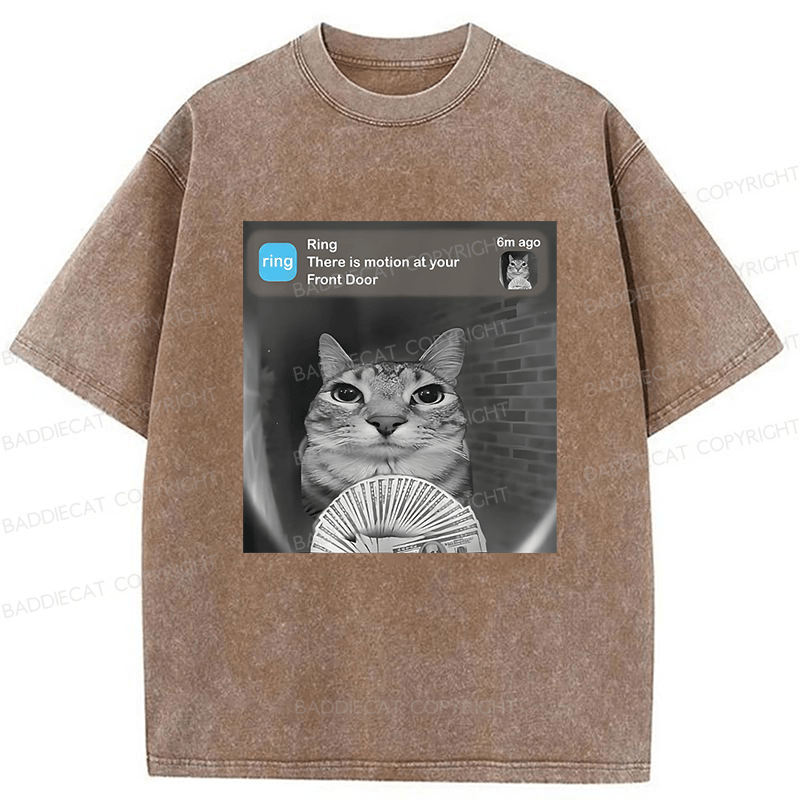 Baddiecat Cat Funny Meme Washed T-shirt