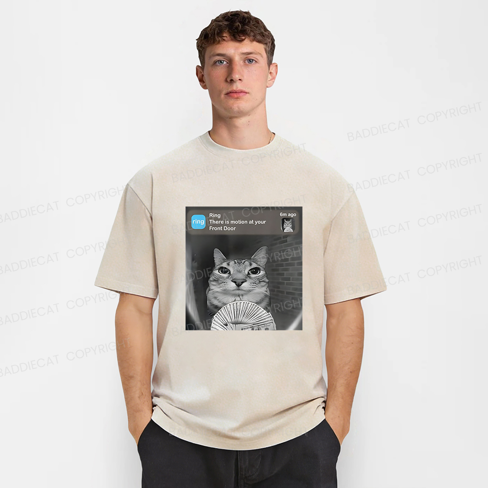 Baddiecat Cat Funny Meme Washed T-shirt