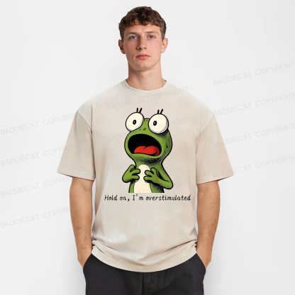 Baddiecat Hold On I'm Overstimulated Washed T-shirt