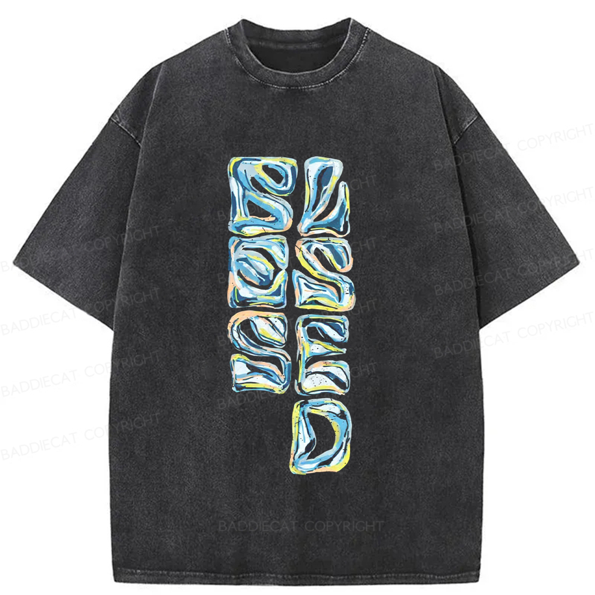 Baddiecat Blessed Washed T-shirt