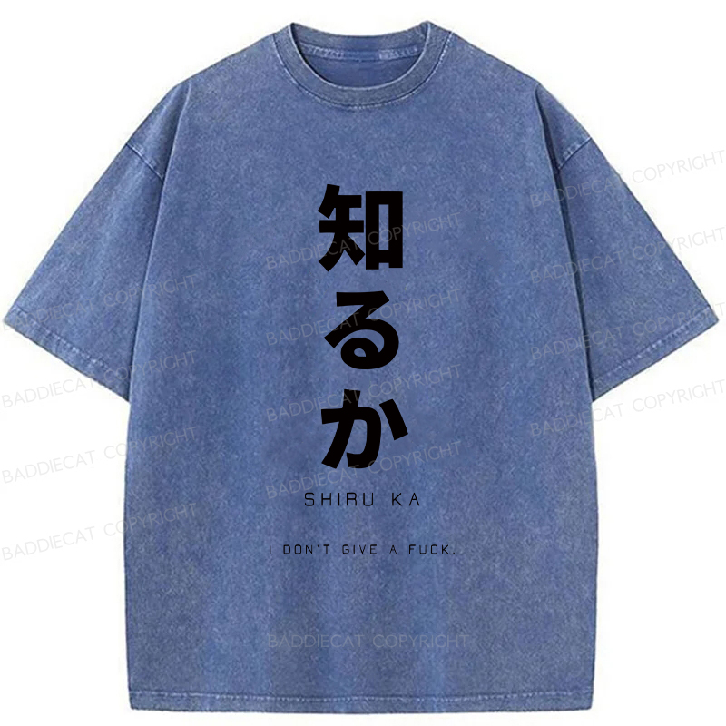 Baddiecat Japanese I Don't Care Washed T-shirt