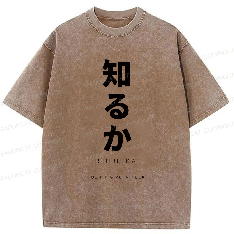 Baddiecat Japanese I Don't Care Washed T-shirt