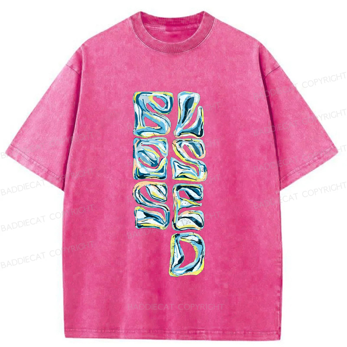Baddiecat Blessed Washed T-shirt