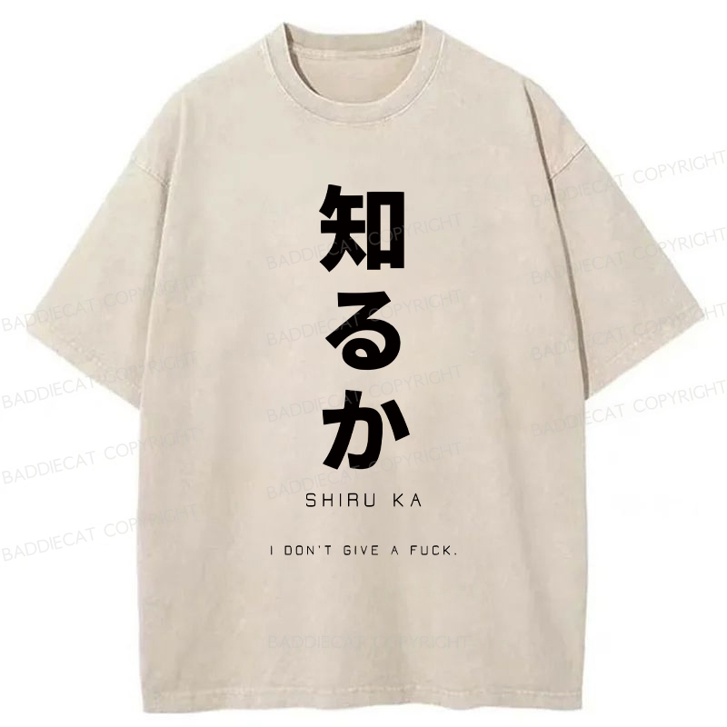 Baddiecat Japanese I Don't Care Washed T-shirt