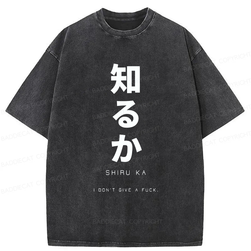 Baddiecat Japanese I Don't Care Washed T-shirt