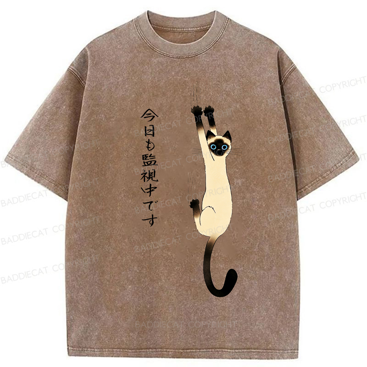 Baddiecat Monitor Cat Washed T-shirt