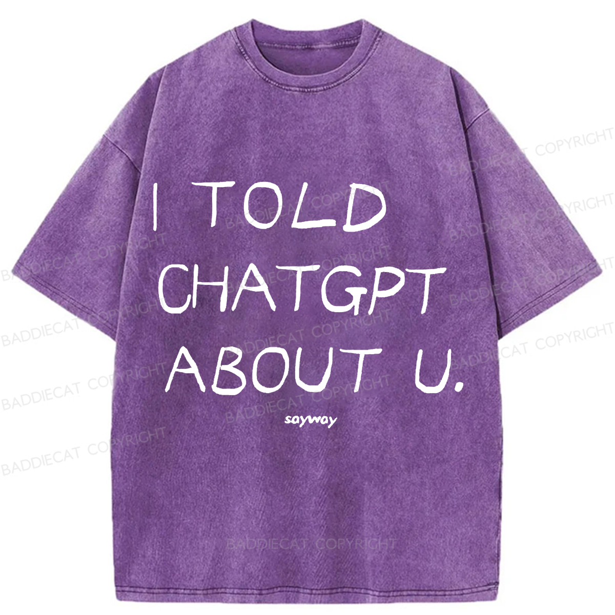 Baddiecat I Told Chatgpt About U Washed T-shirt