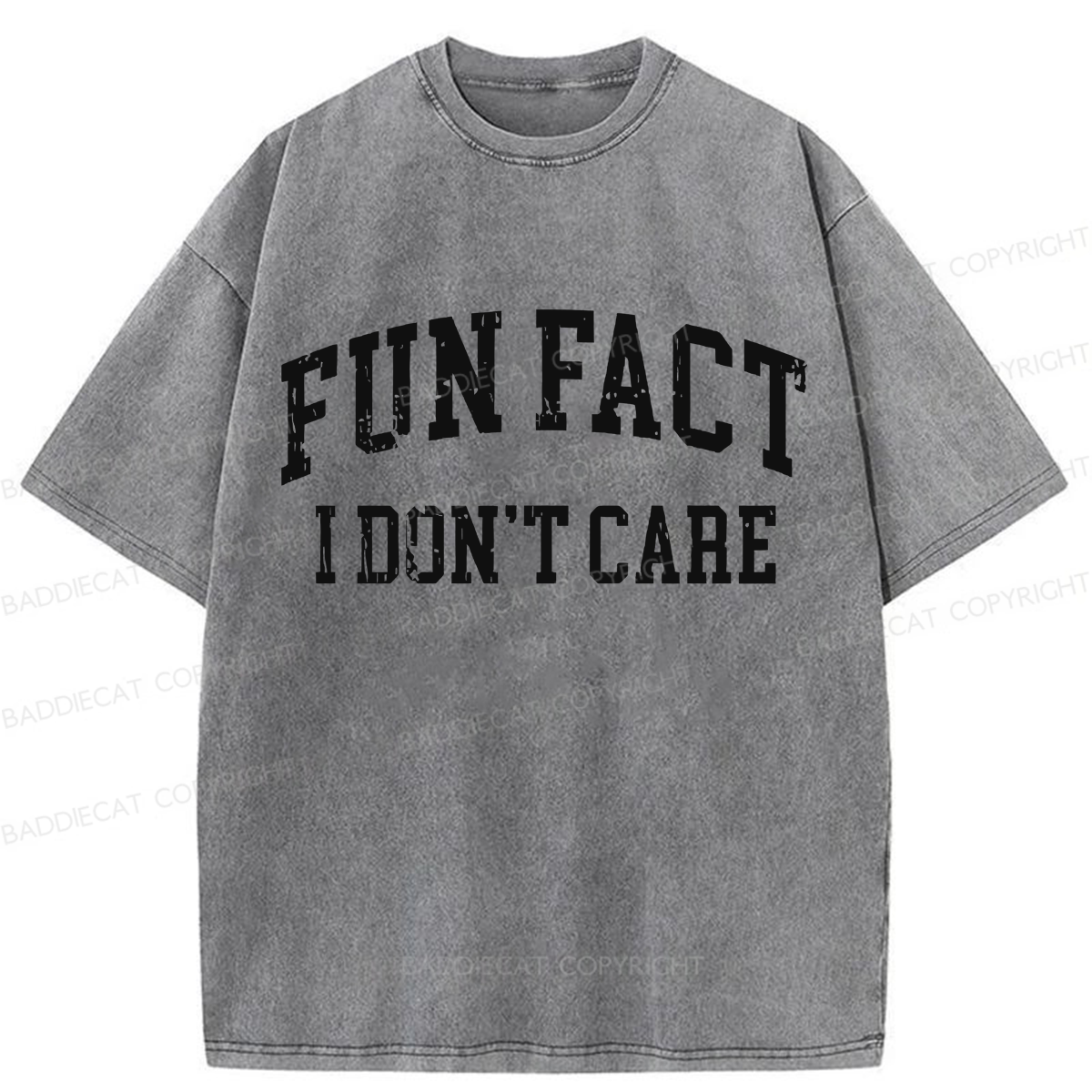 Baddiecat Fun Fact I Don't Care Washed T-shirt