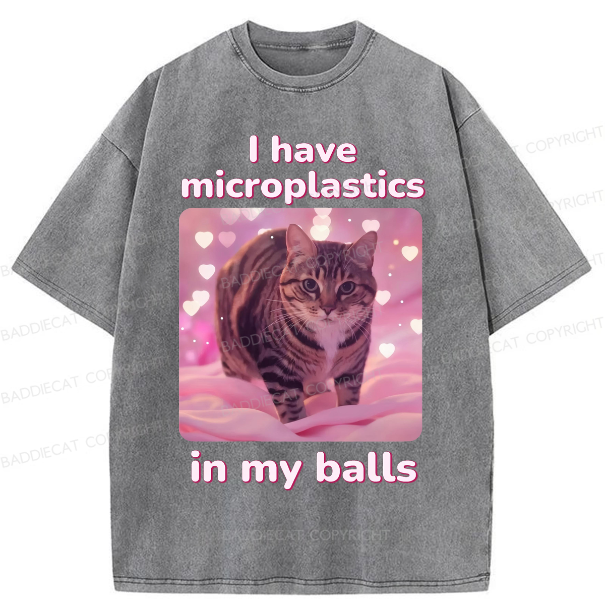 Baddiecat I have Microplastics In My Balls Washed T-shirt