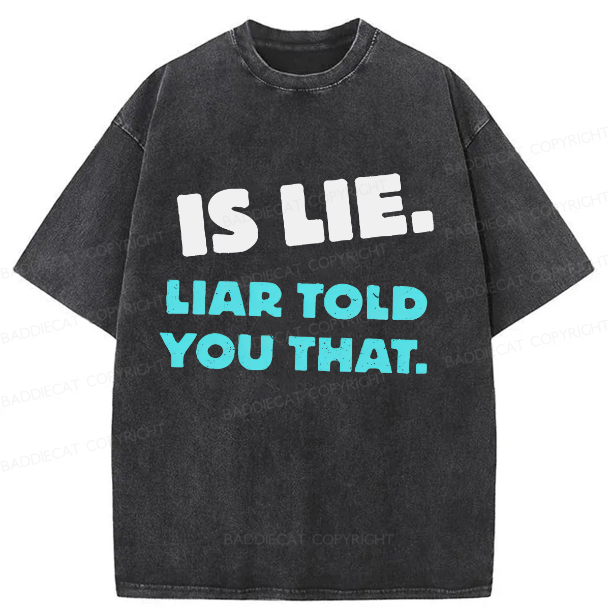 Baddiecat Is Lie Liar Told You That Washed T-shirt