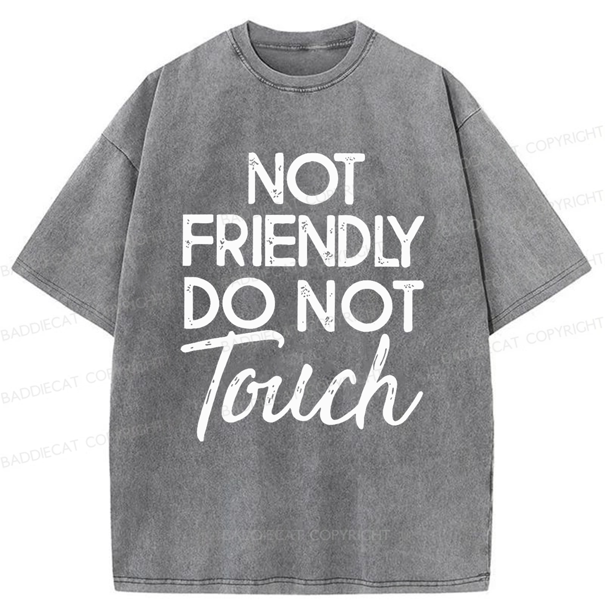 Baddiecat Not Friendly Do Not Touch Washed T-shirt