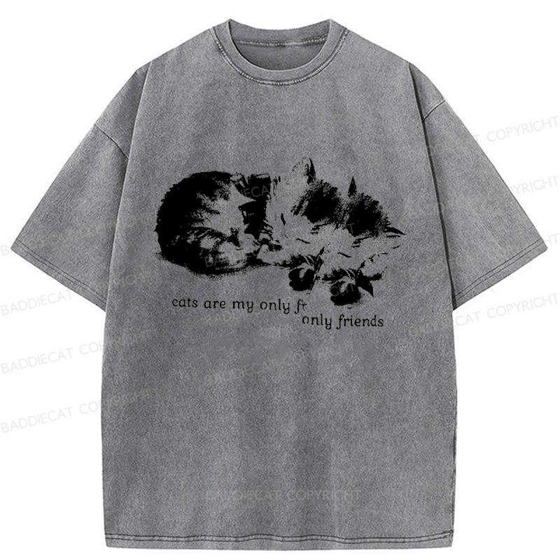 Baddiecat Cats Are My Only Friends Washed T-Shirt