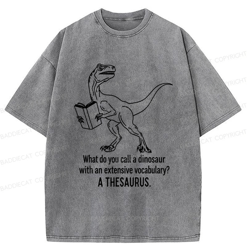 Baddiecat A Thesaurus Washed T-shirt