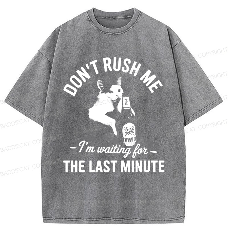 Baddiecat Cat Don't Rush Me Washed T-shirt
