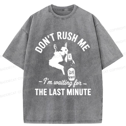 Baddiecat Cat Don't Rush Me Washed T-shirt