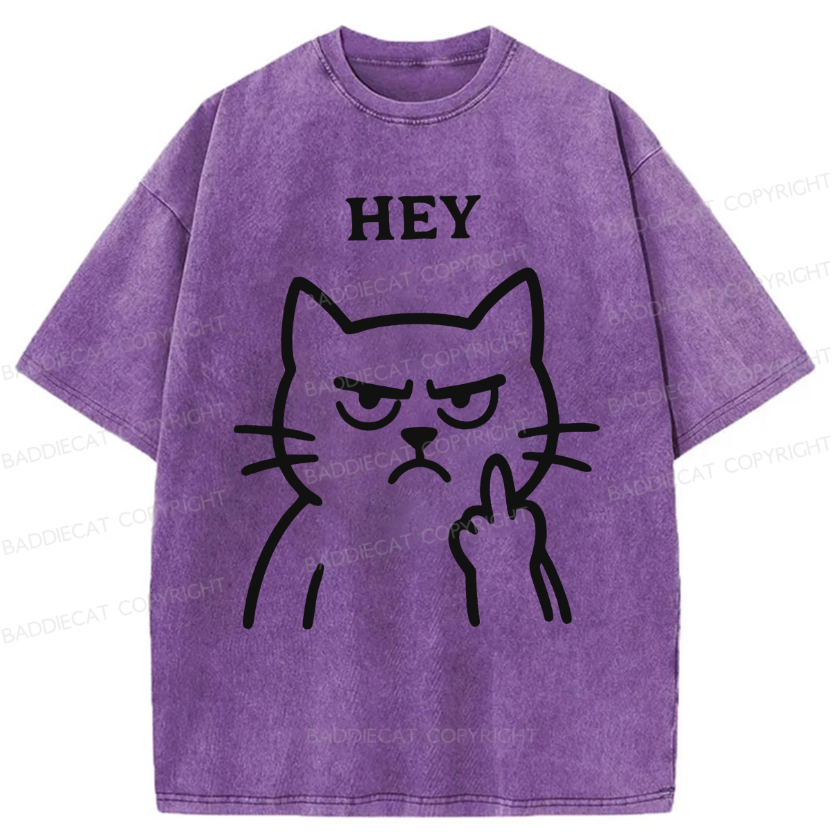 Baddiecat Hey Funny Cat Washed T-shirt