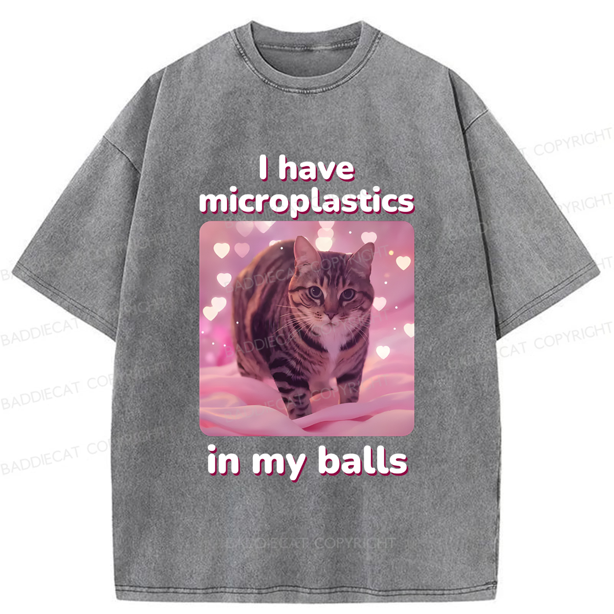 Baddiecat I Have Microplastics In My Balls Washed T-shirt