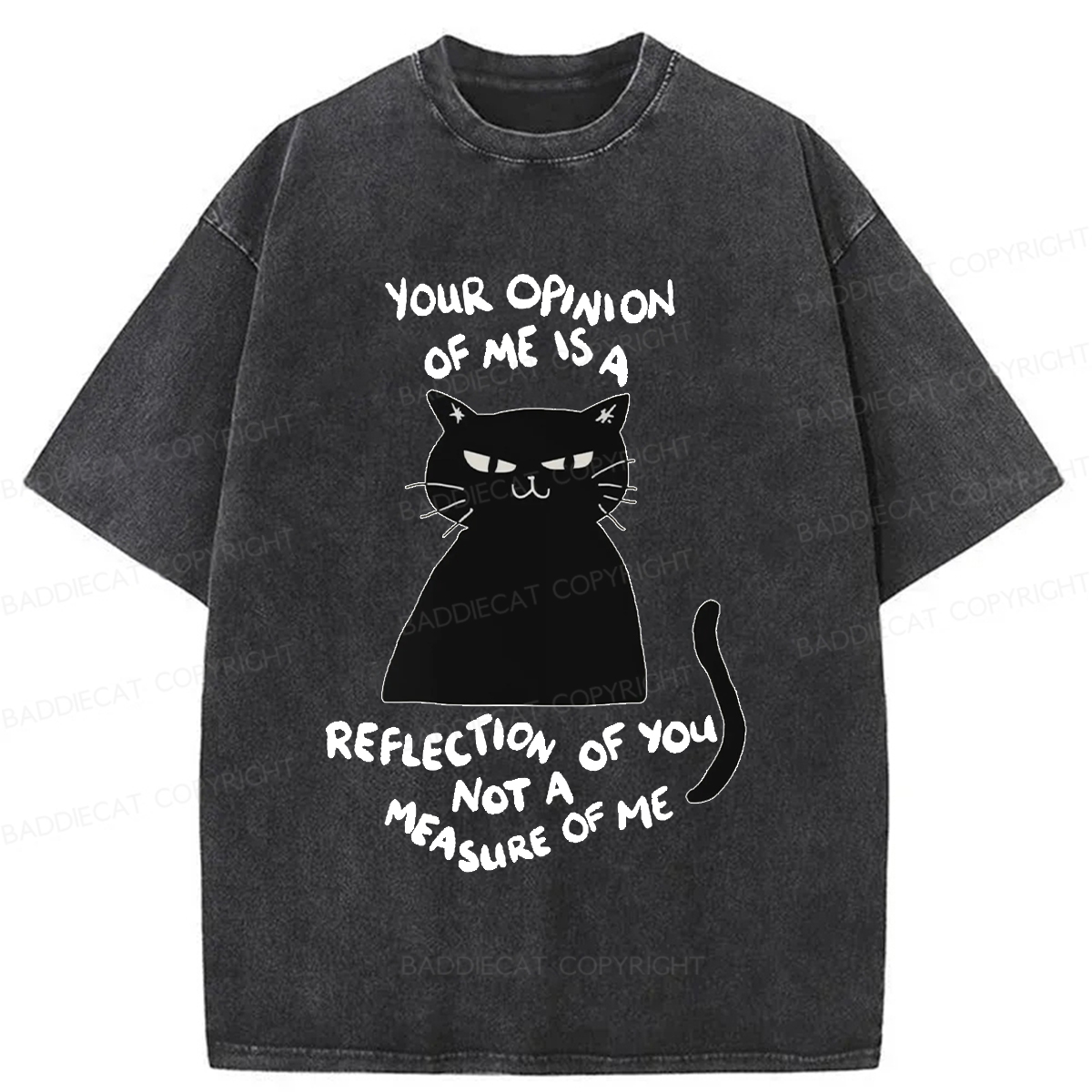 Baddiecat Examining Black Cat Washed T-shirt