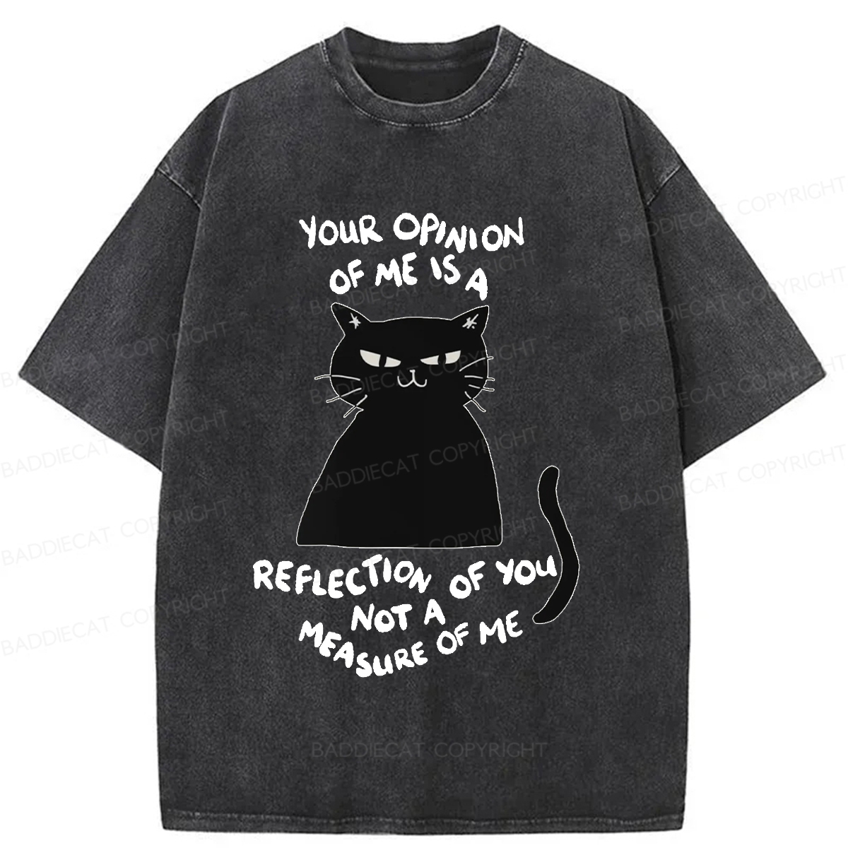 Baddiecat Examining Black Cat Washed T-shirt