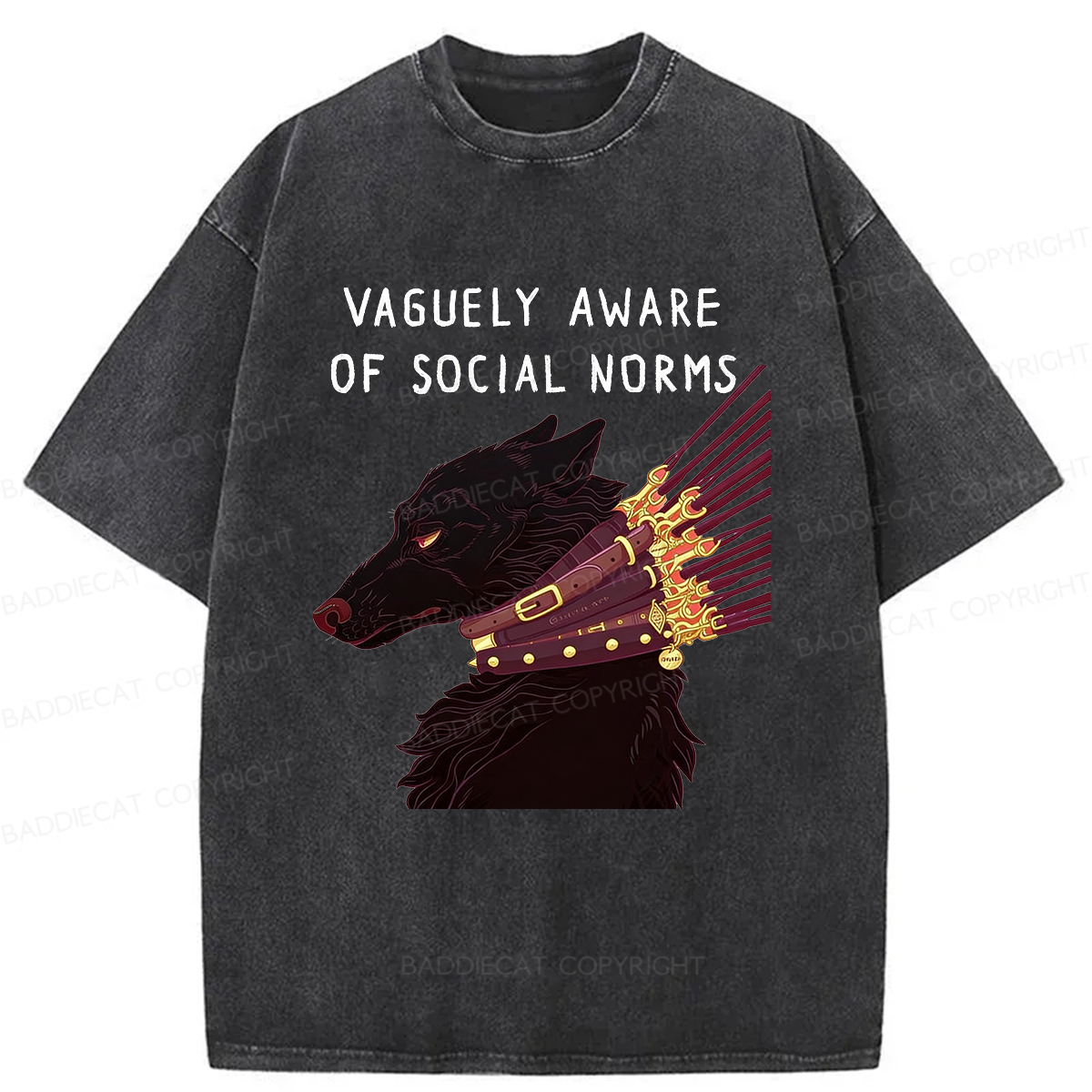Baddiecat Vaguely Aware Of Social Norms Washed T-shirt