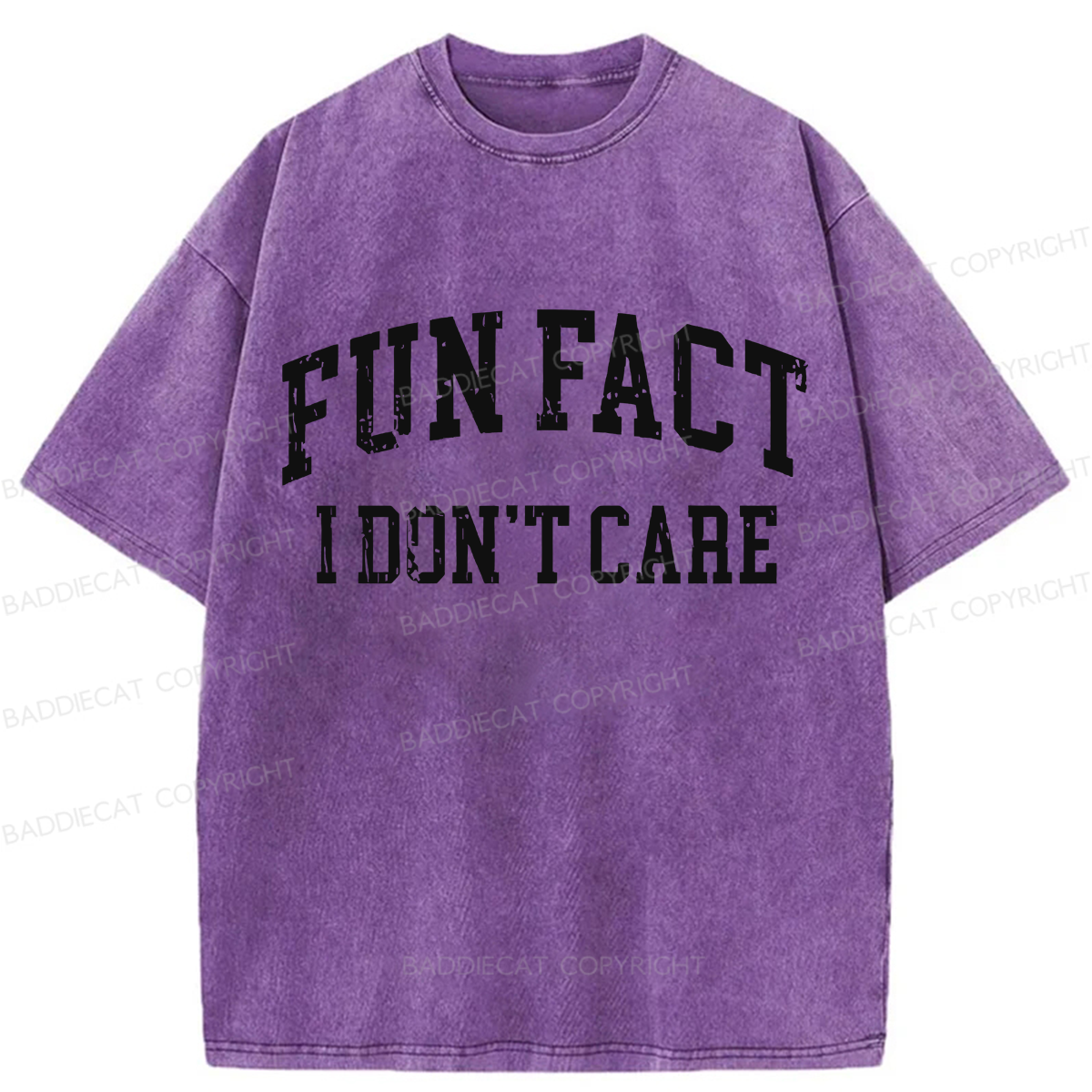 Baddiecat Fun Fact I Don't Care Washed T-shirt