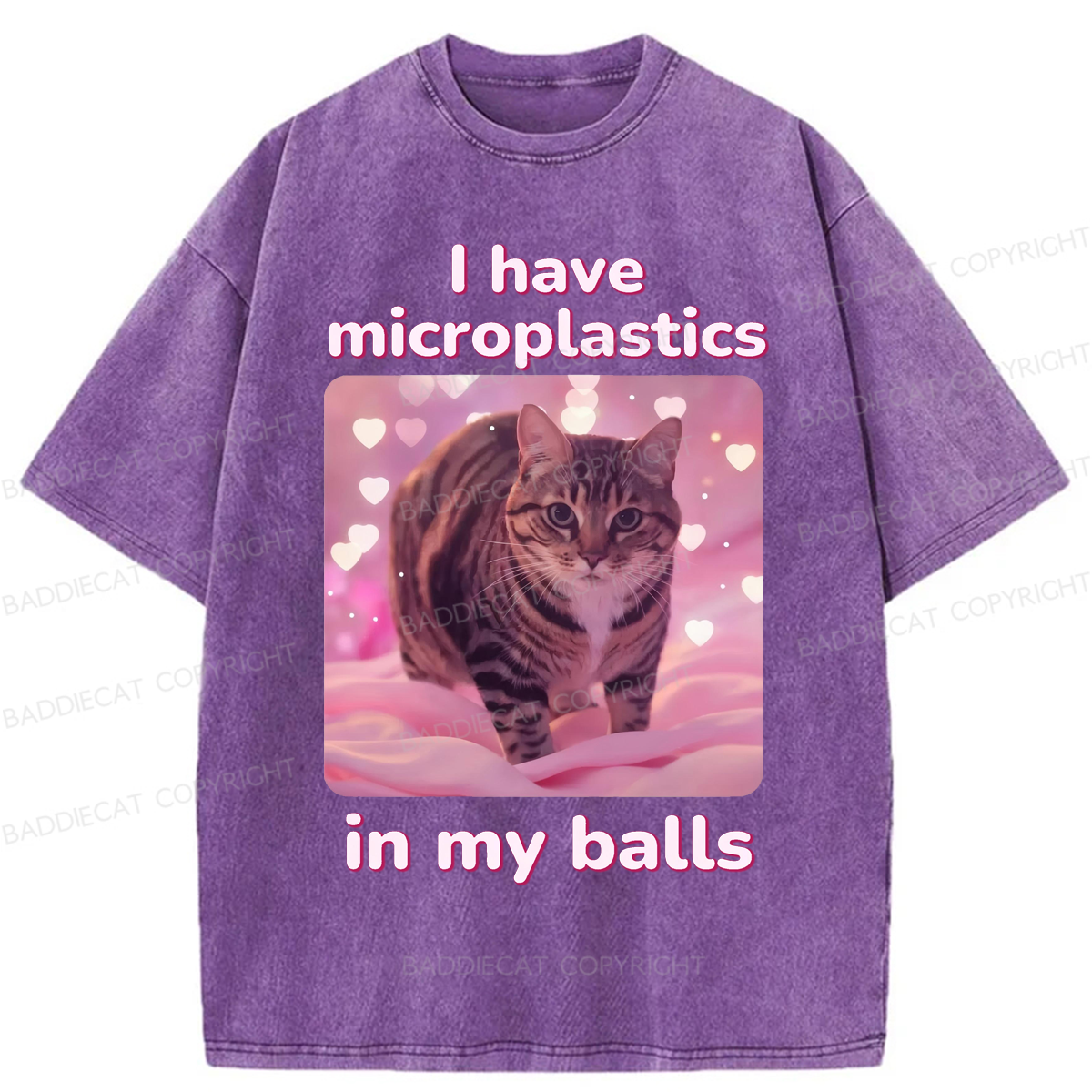 Baddiecat I have Microplastics In My Balls Washed T-shirt