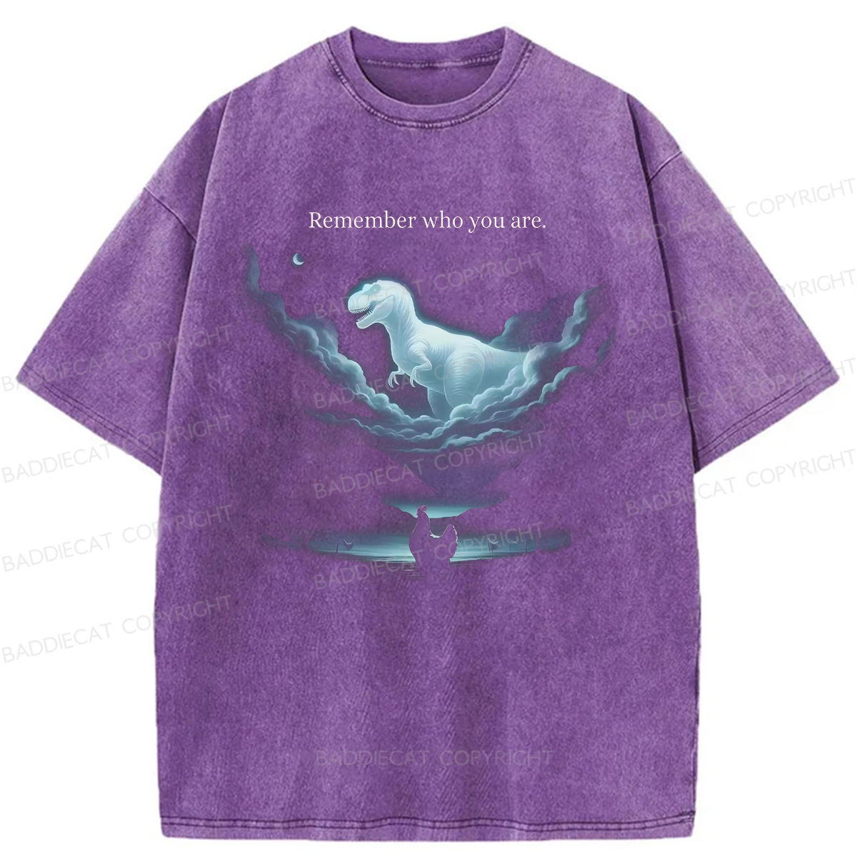 Baddiecat Remember Who You Are Washed T-shirt
