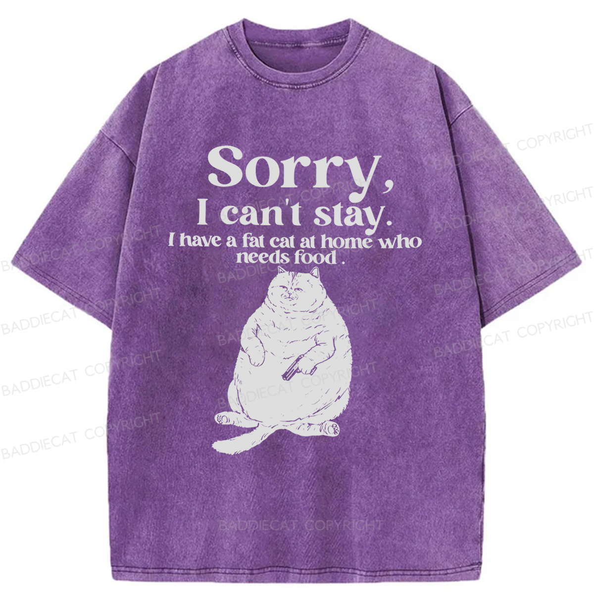 Baddiecat Sorry I Can't Stay Washed T-shirt