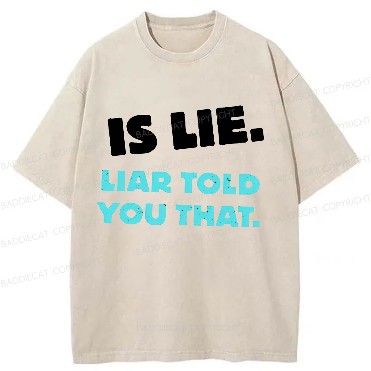 Baddiecat Is Lie Liar Told You That Washed T-shirt