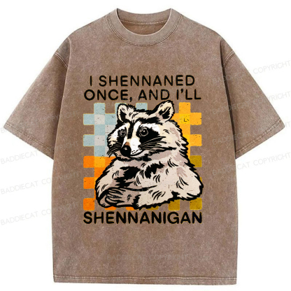 Baddiecat Mischievous Raccoon Washed T-shirt
