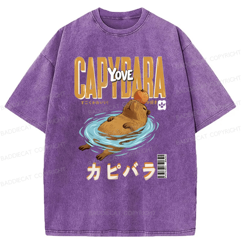 Baddiecat Capybara Funny Washed T-shirt