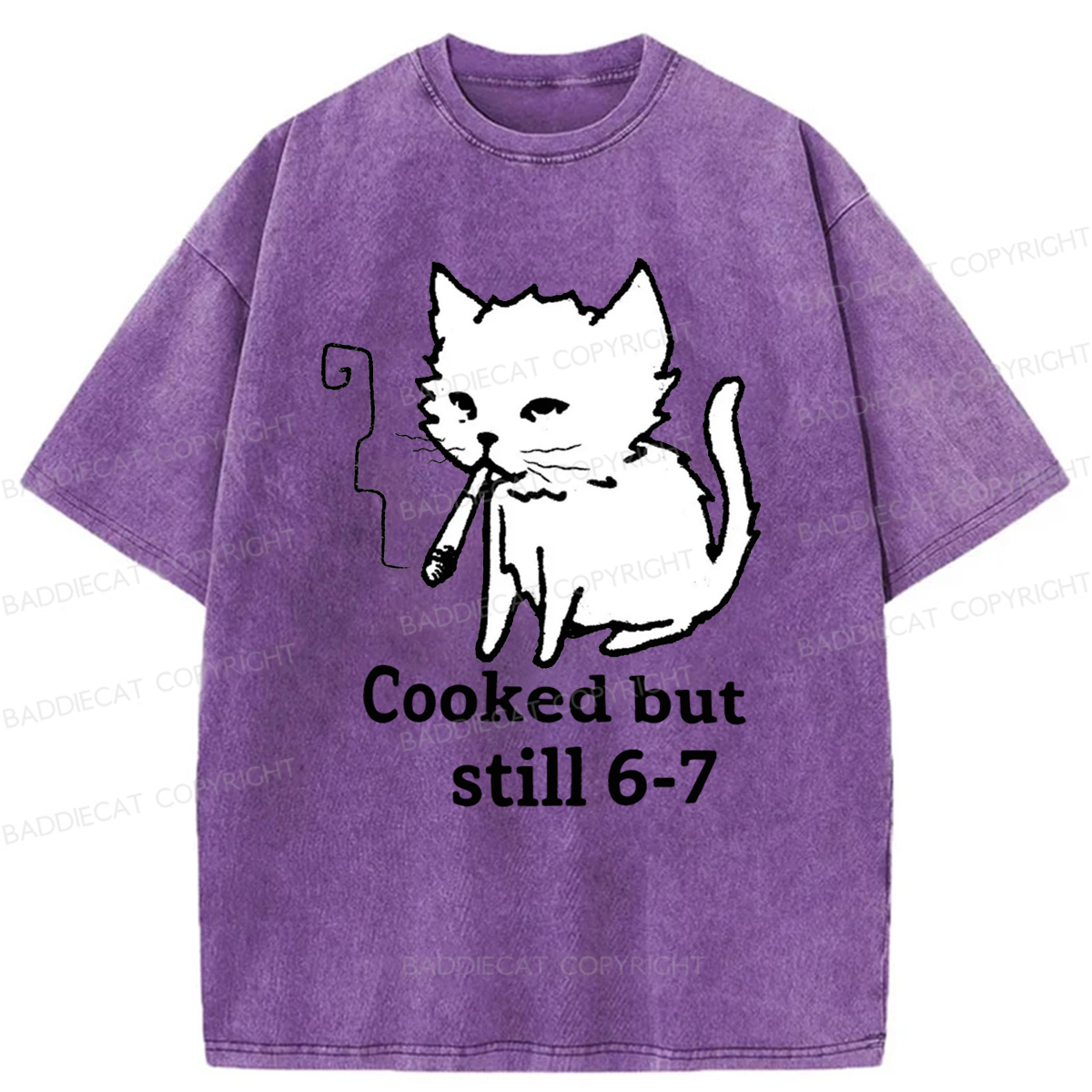 Baddiecat Cat Smoking Cooked But Still 6-7 Washed T-shirt