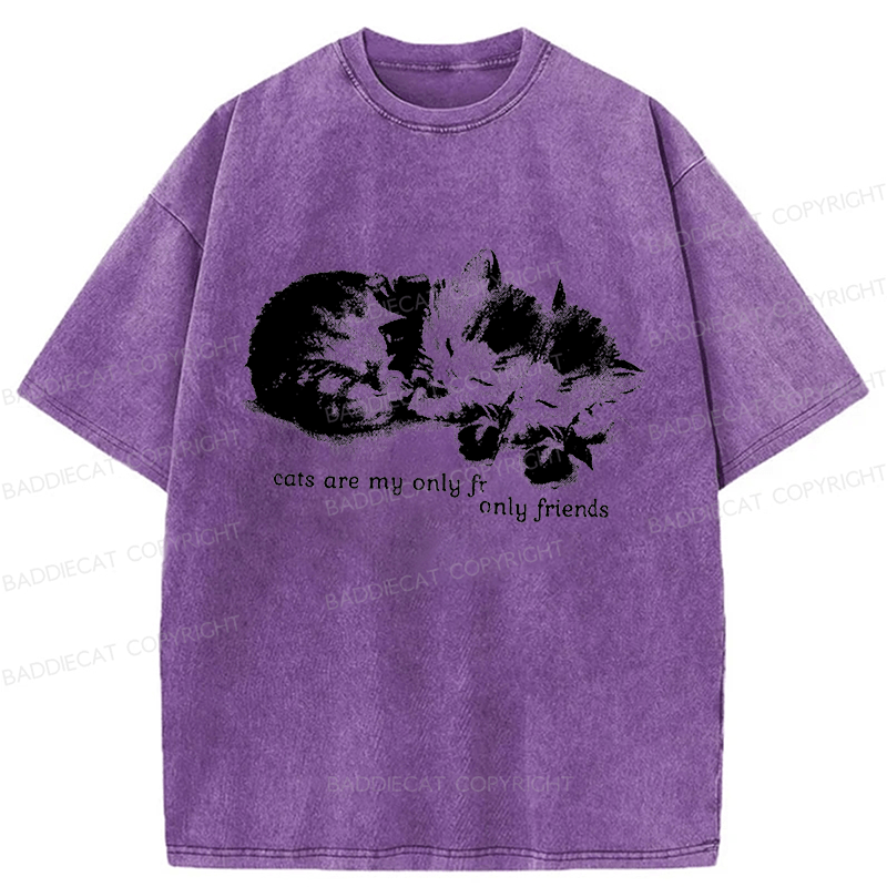 Baddiecat Cats Are My Only Friends Washed T-Shirt