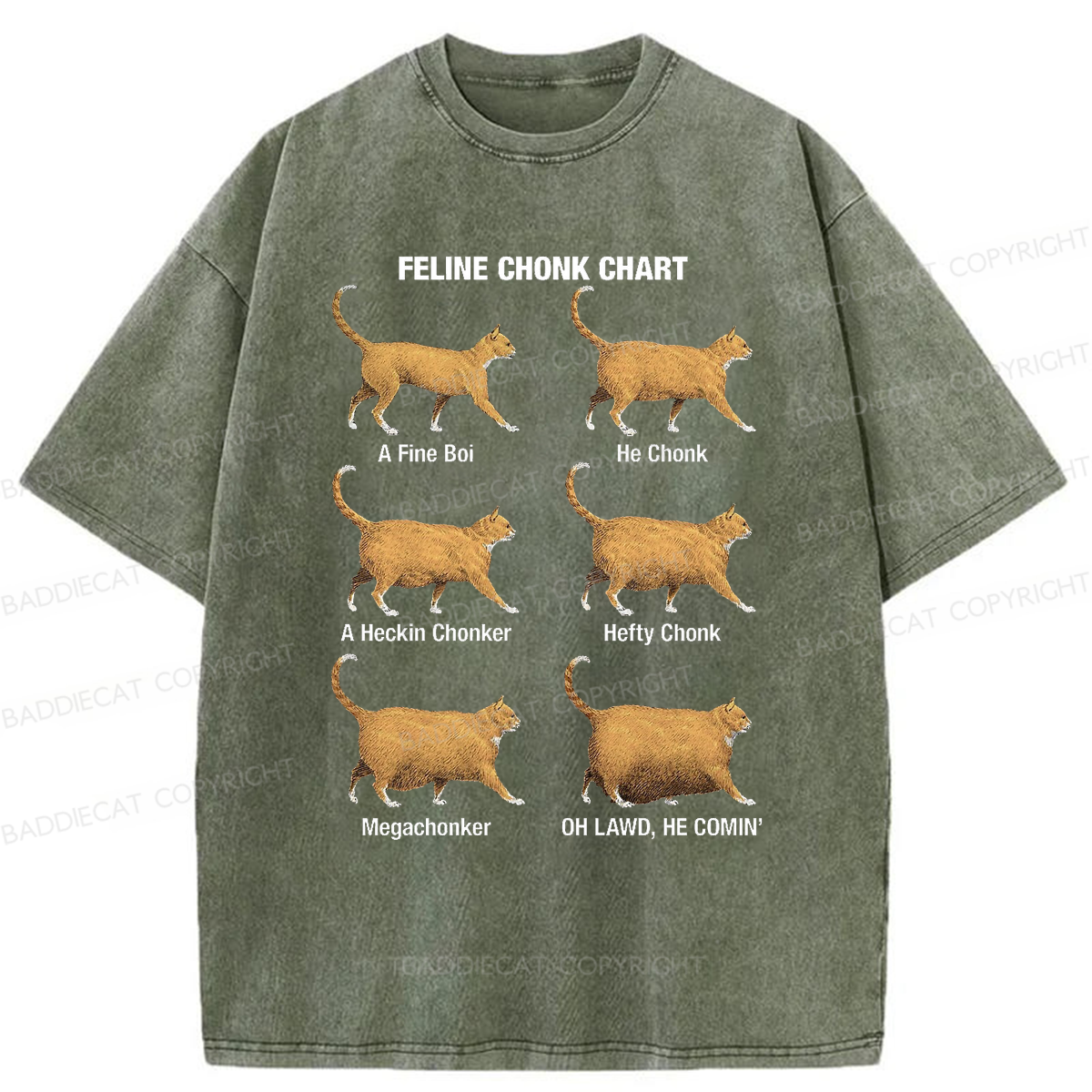 Baddiecat Chonky Cat Evolution Washed T-shirt