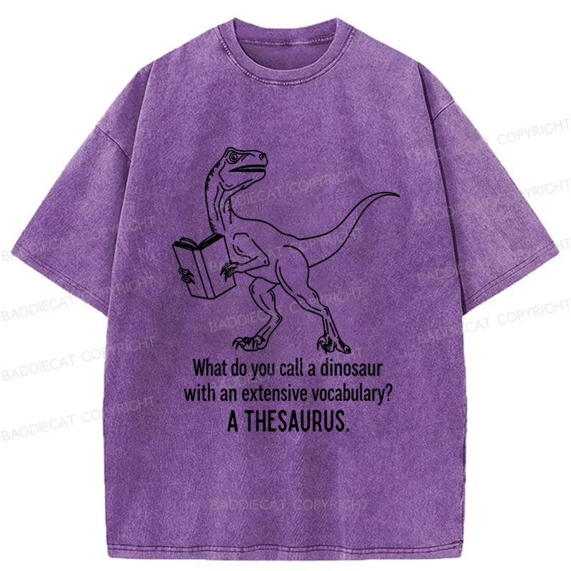 Baddiecat A Thesaurus Washed T-shirt