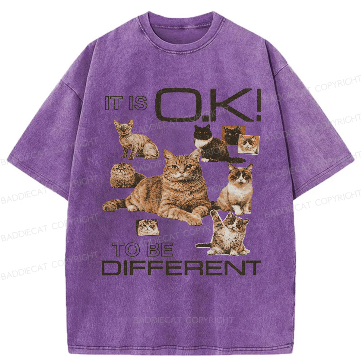 Baddiecat Cat It's Ok To Be Different Washed T-shirt