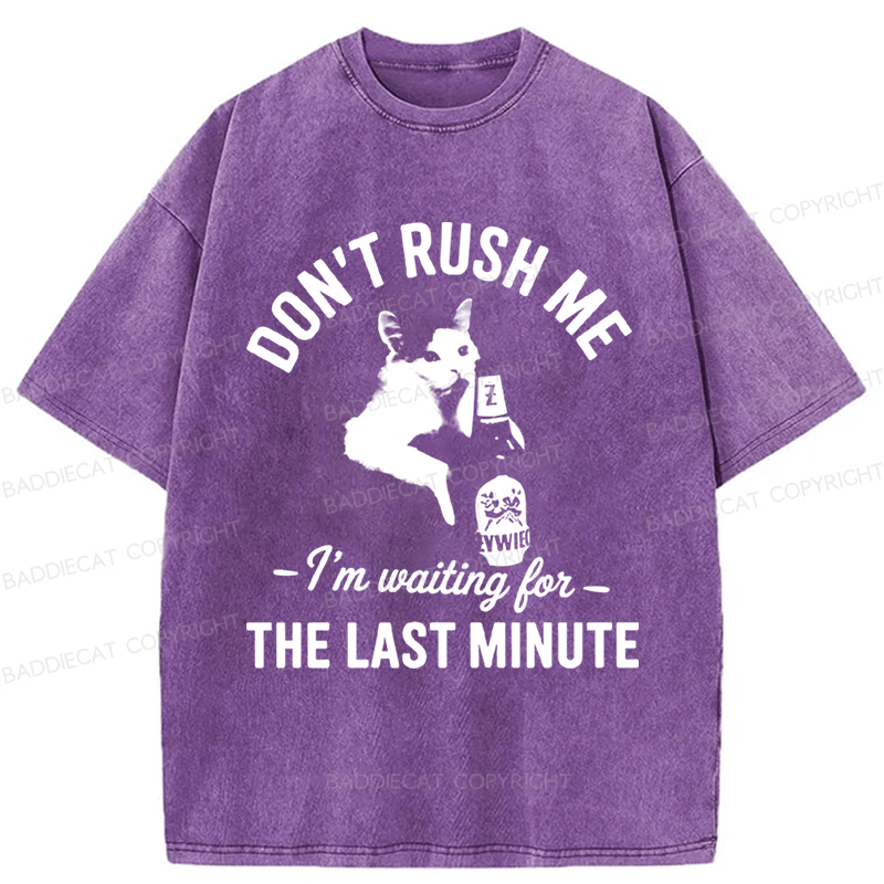 Baddiecat Cat Don't Rush Me Washed T-shirt