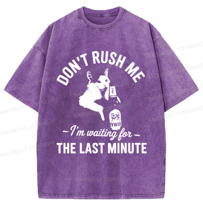 Baddiecat Cat Don't Rush Me Washed T-shirt