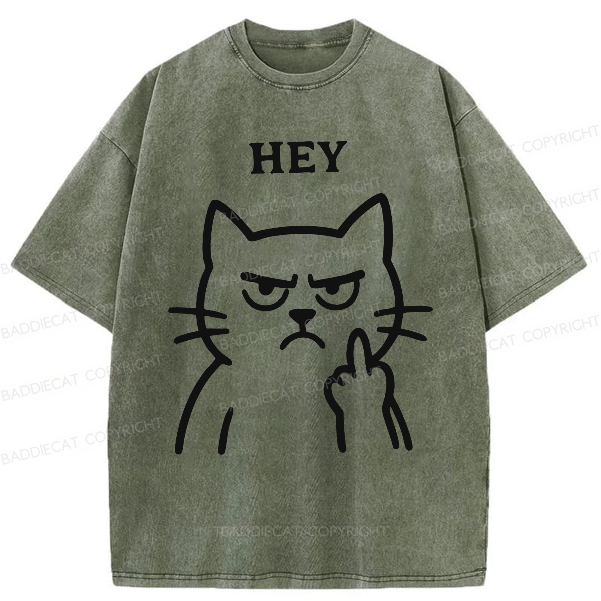 Baddiecat Hey Funny Cat Washed T-shirt