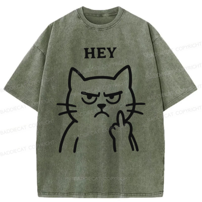 Baddiecat Hey Funny Cat Washed T-shirt