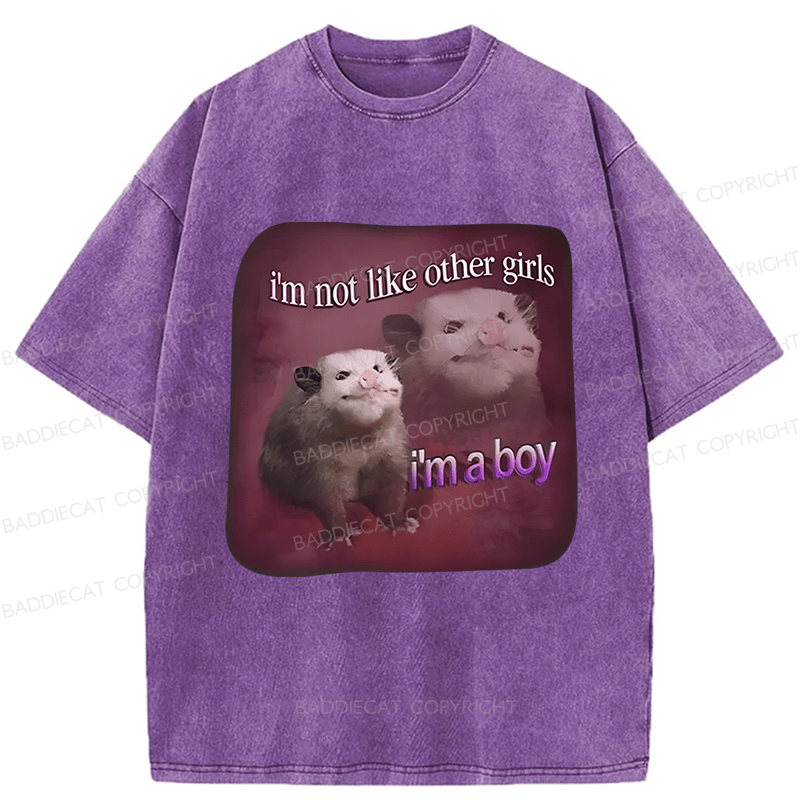 Baddiecat I'm Not Like Other Girls I'm A Boy Possum Washed T-shirt
