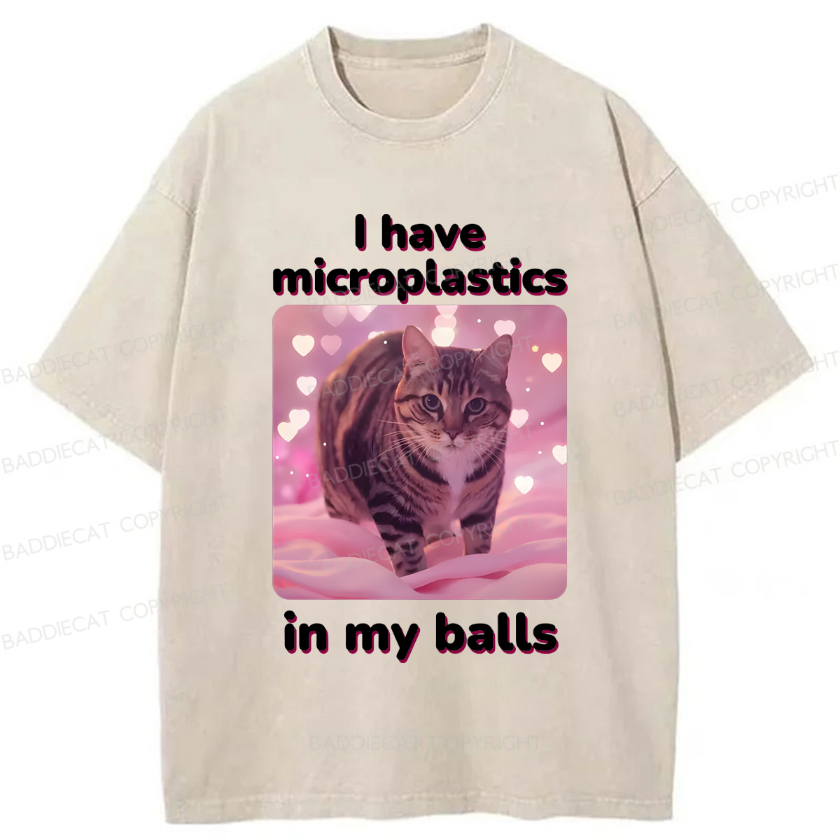 Baddiecat I Have Microplastics In My Balls Washed T-shirt